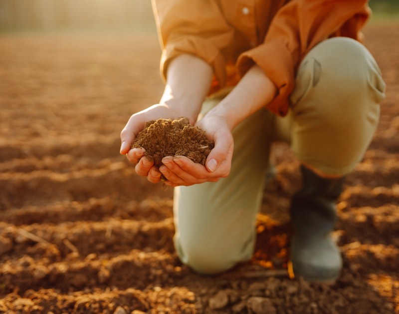 Manage the Waste. All of It.