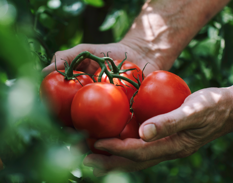 We Cook What's in Season.